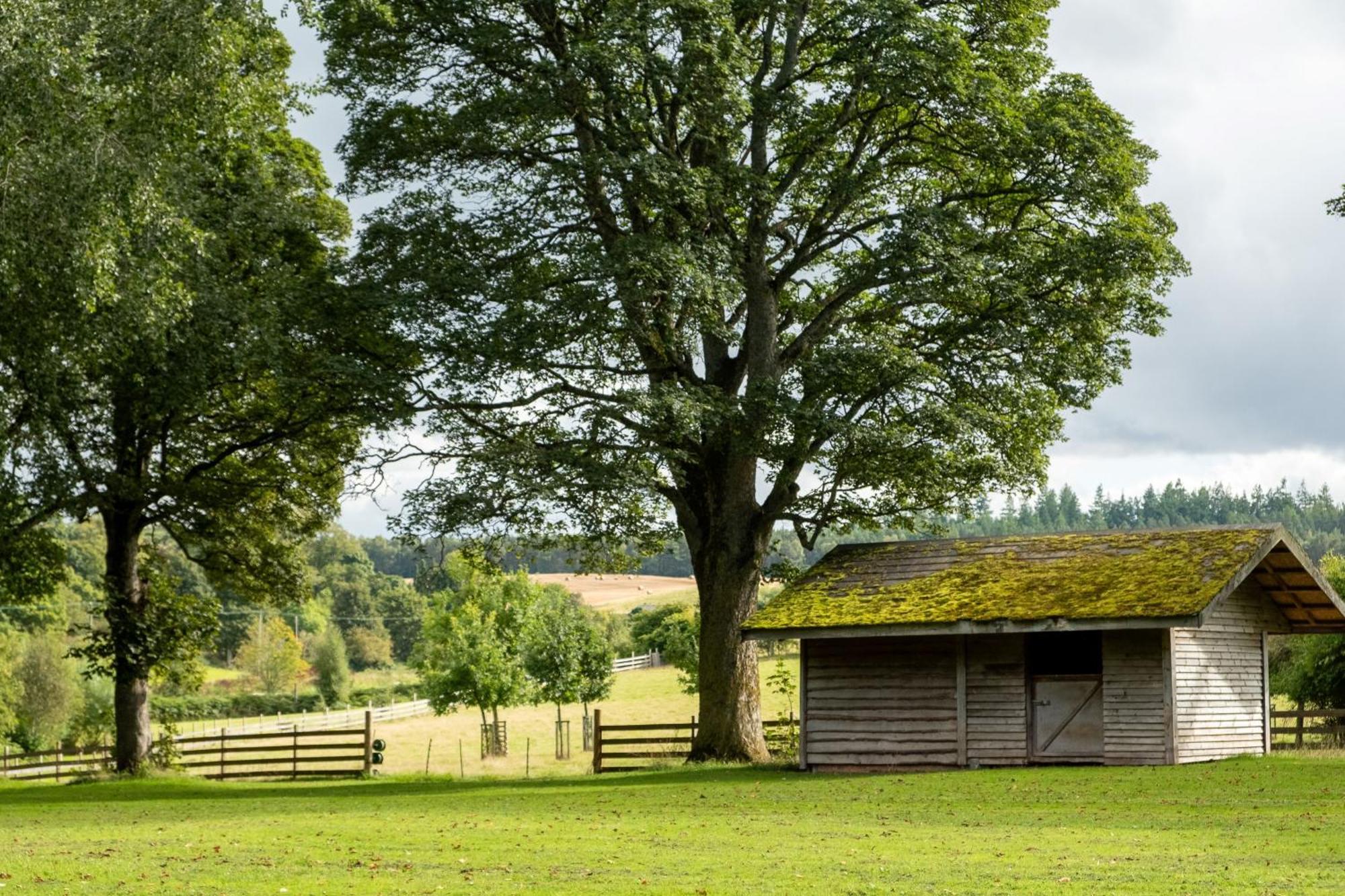 Marcassie Farm Lodges - Blackthorn Studio Форес Екстериор снимка